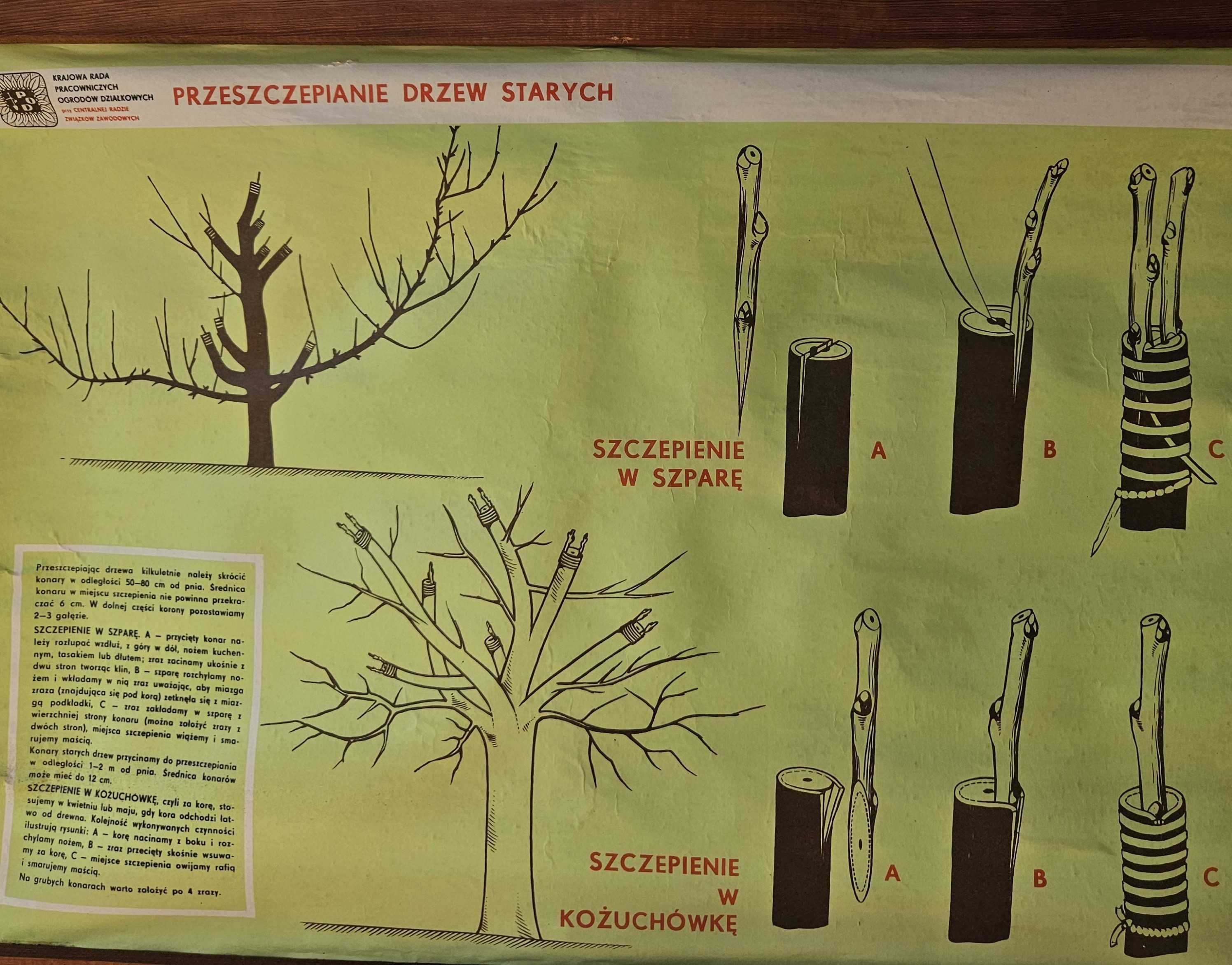 Tablica instruktażowa ogrodnicza