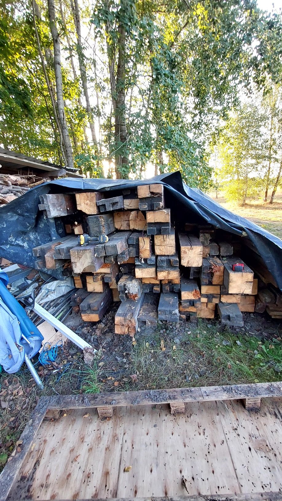 Sprzedam dyle starodrzew