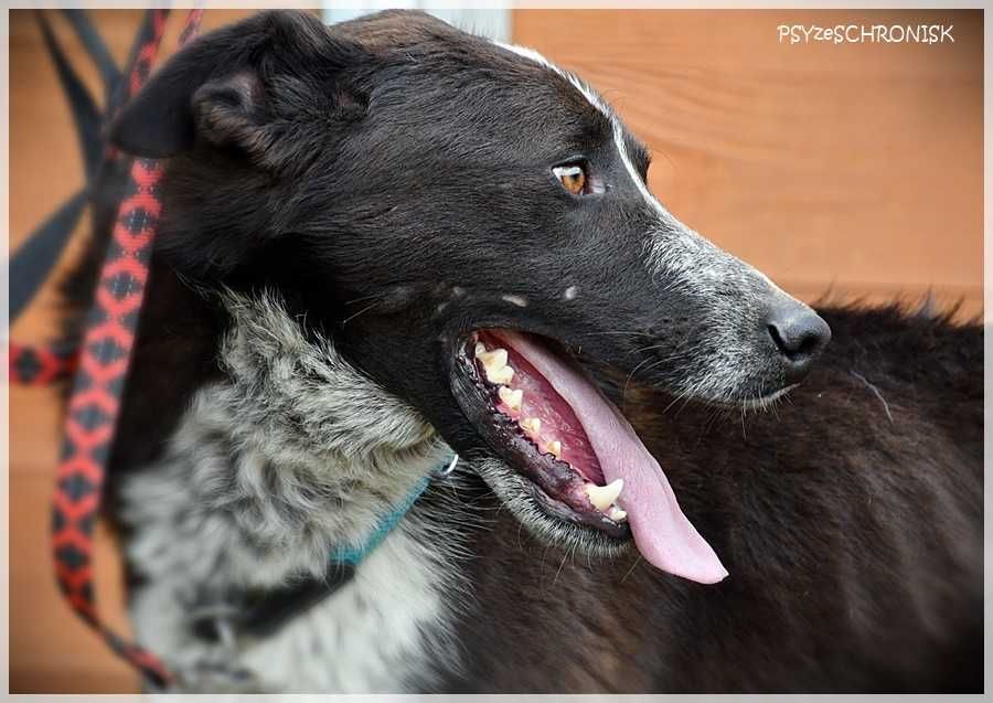 Sajgon: jego energia Ci się udzieli!