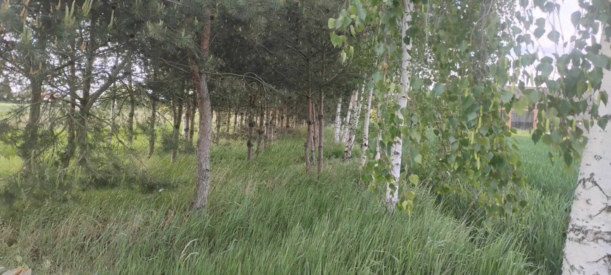 Nowy dom z duszą w cenie mieszkania