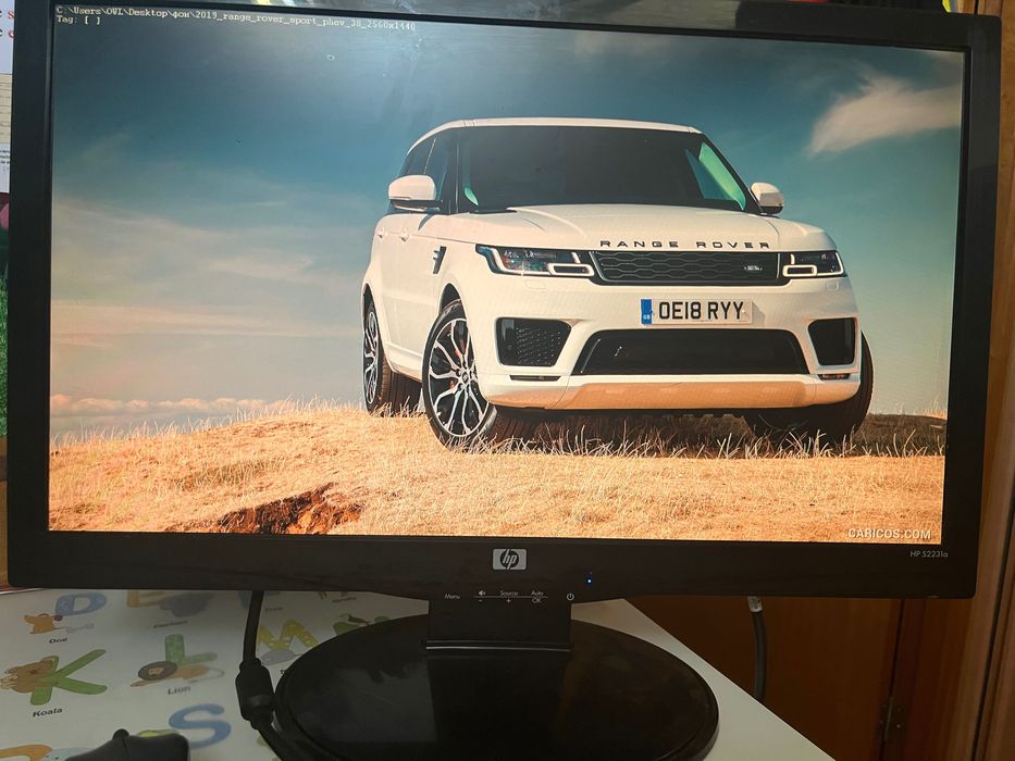 Vendo Monitor HP 22”