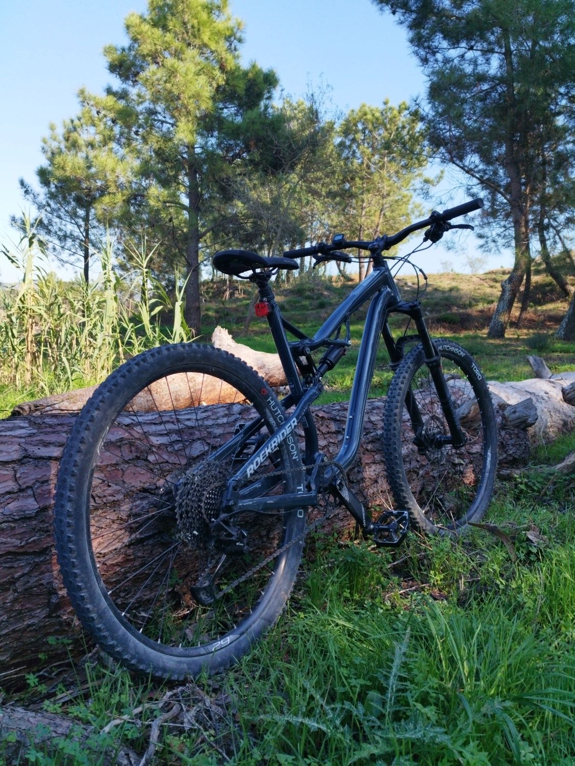 Rockrider am 50s XL