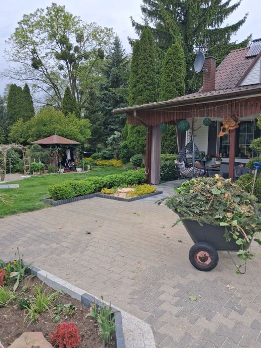 Wycinka drzew , mycie elewacji , podnośnik koszowy , mini żuraw