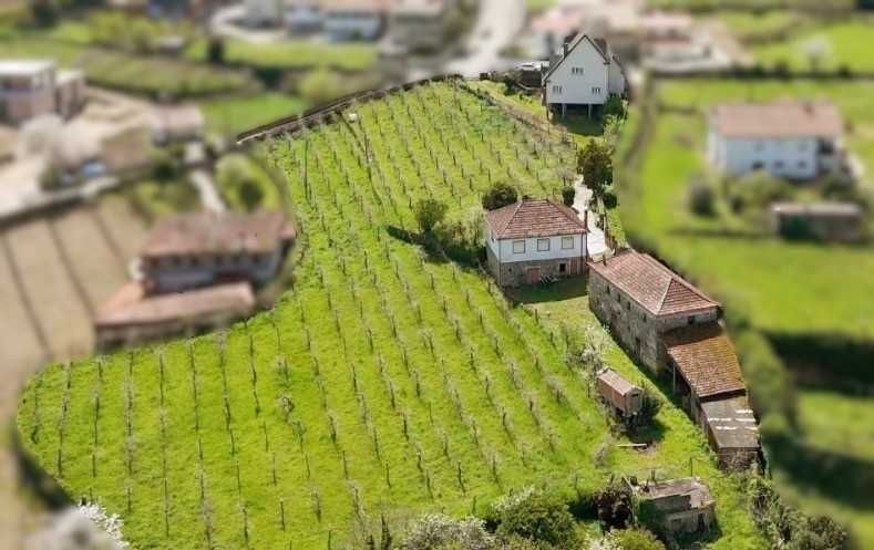 Venda de Quinta em Melgaço - c/ plantação de Alvarinho