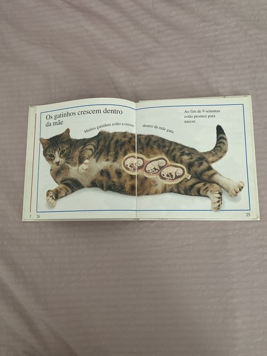 Livro - De onde vêm os bebés