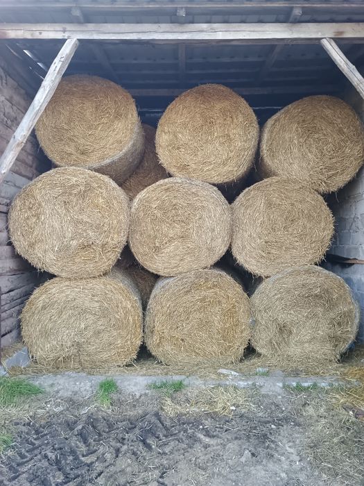 Sprzedam słome 120