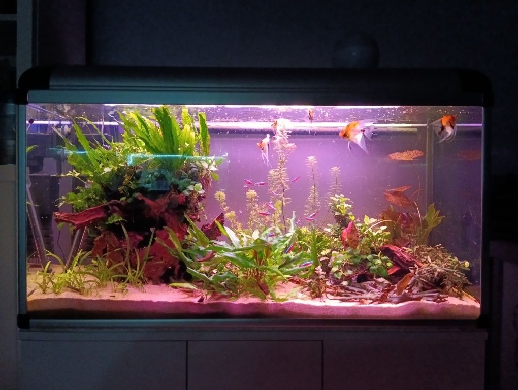 Akwarium 200l cały zestaw