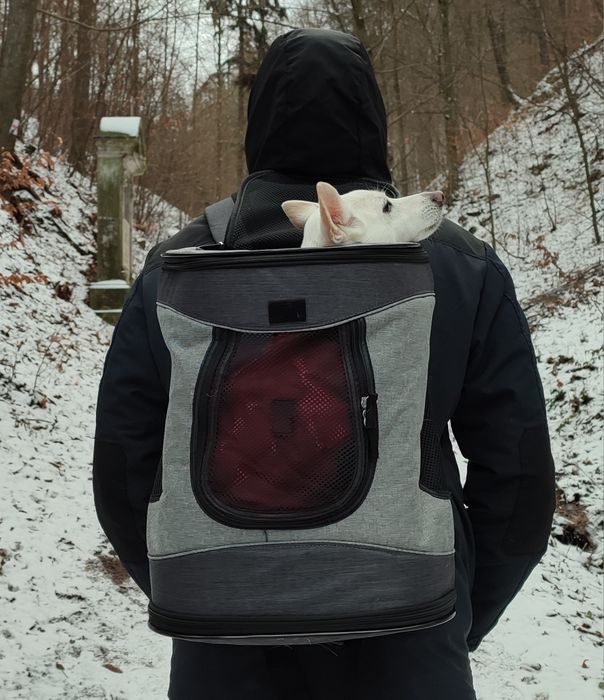 Plecak dla psa/kota Trixie Timon