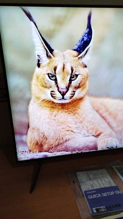 QLED 4Ksmart TV Samsung 50дюймів QE50Q60T 2020р з голосовим керуванням