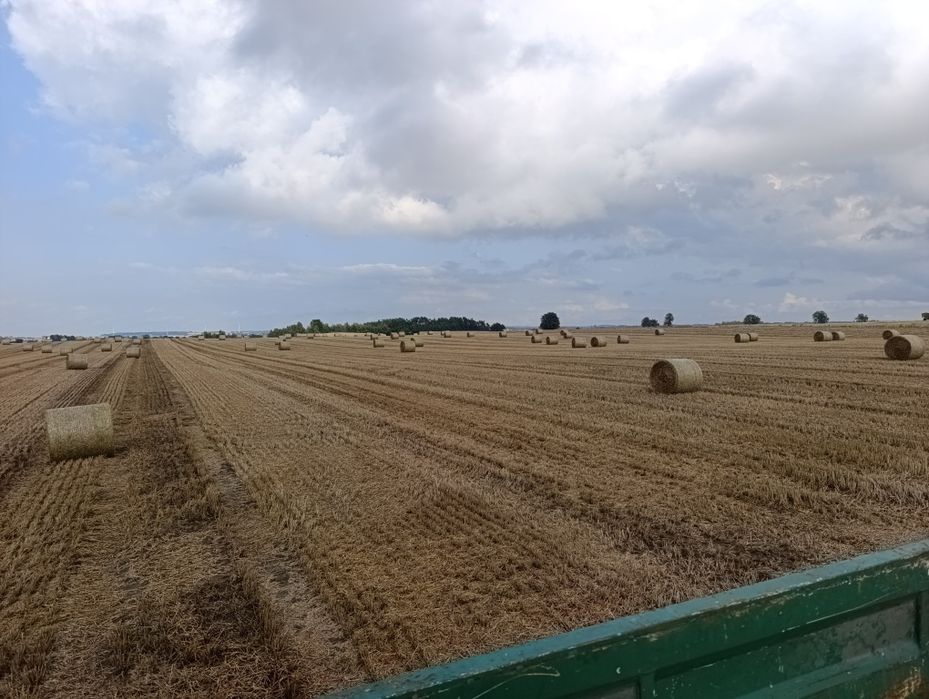 Sprzedam słomę z pszenicy kulki bele 120 cm