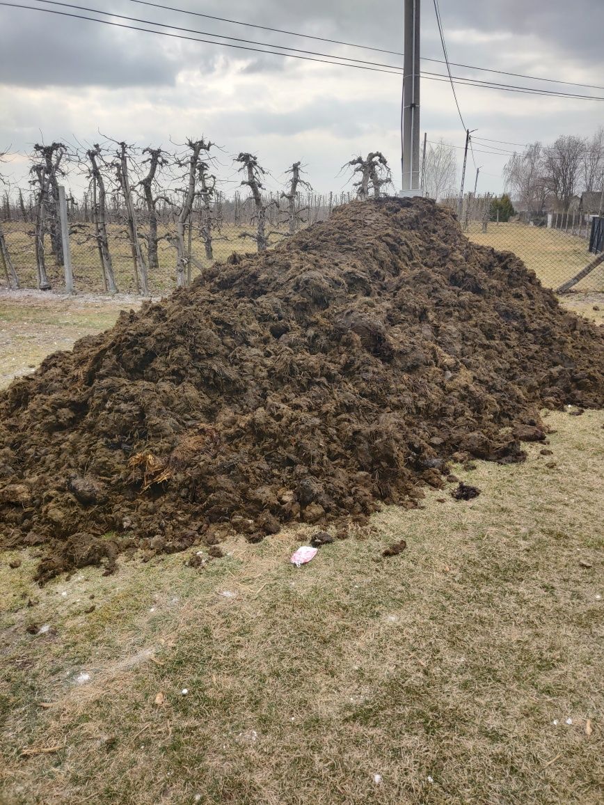 Obornik Bydlęcy 27t + transport , kora pod borówkę