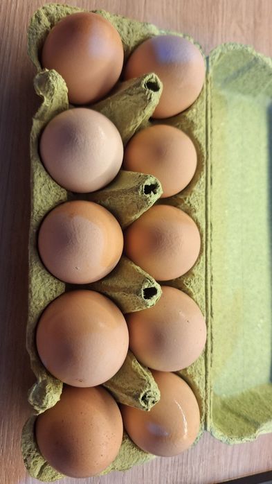 Świeże jajka wiejskie