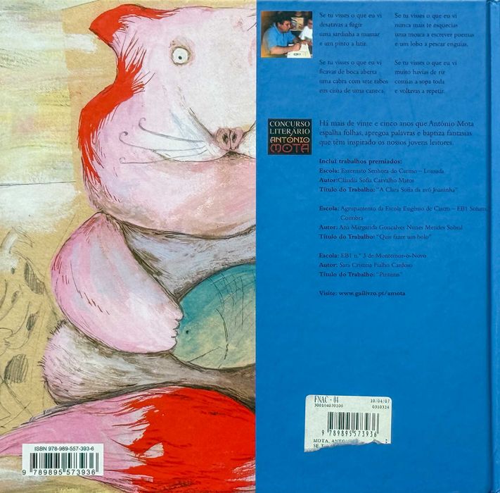 Se Tu Visses o Que Eu Vi, de António Mota