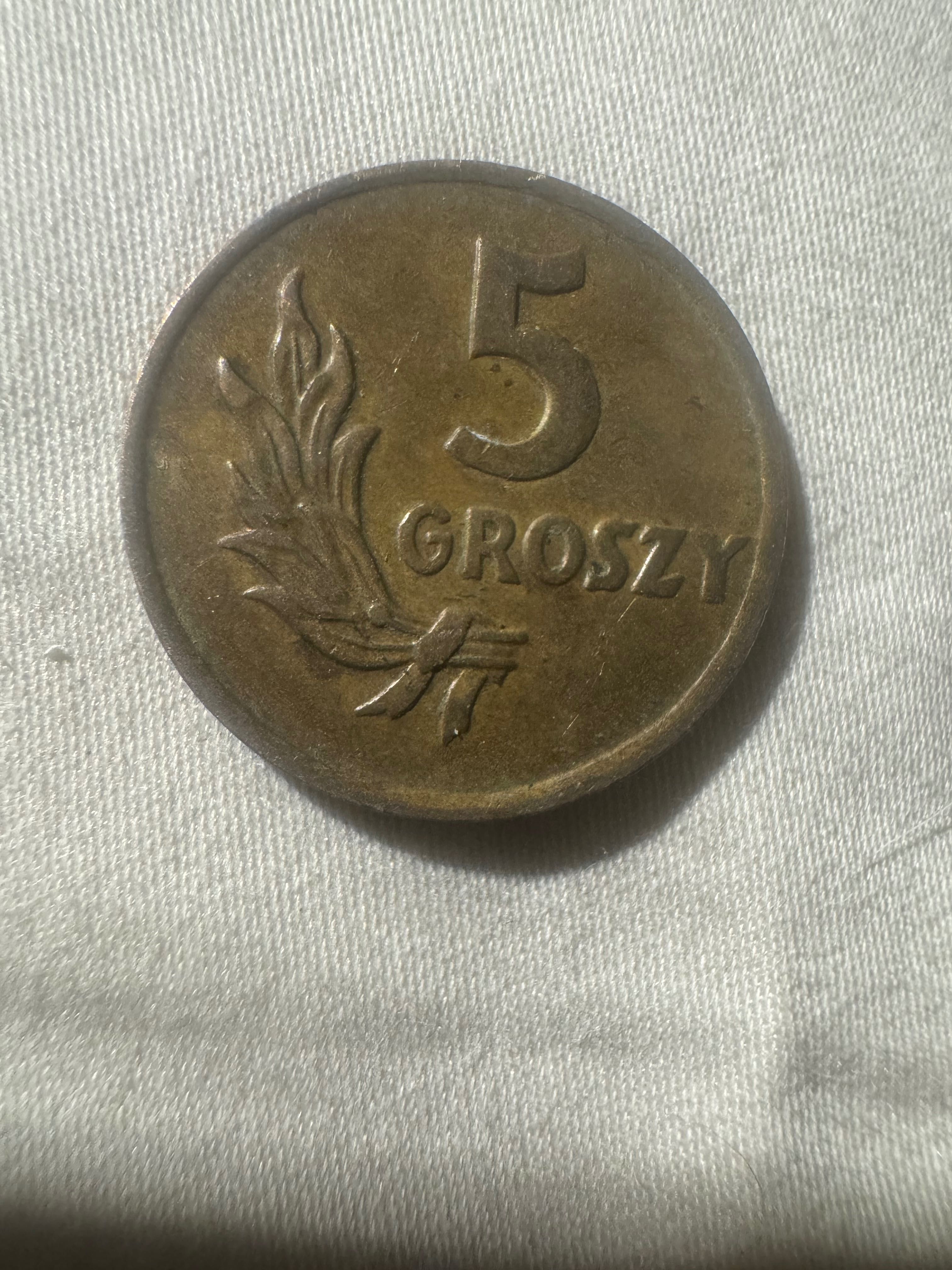5 groszy Polska 1949