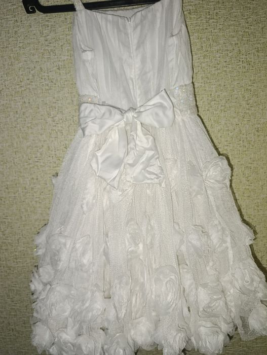 Білосніжна пишна сукня