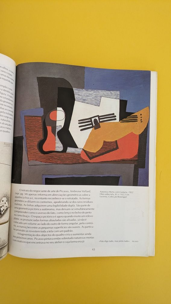 Livro sobre Picasso