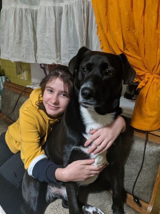 Шукаю собачку для в'язки