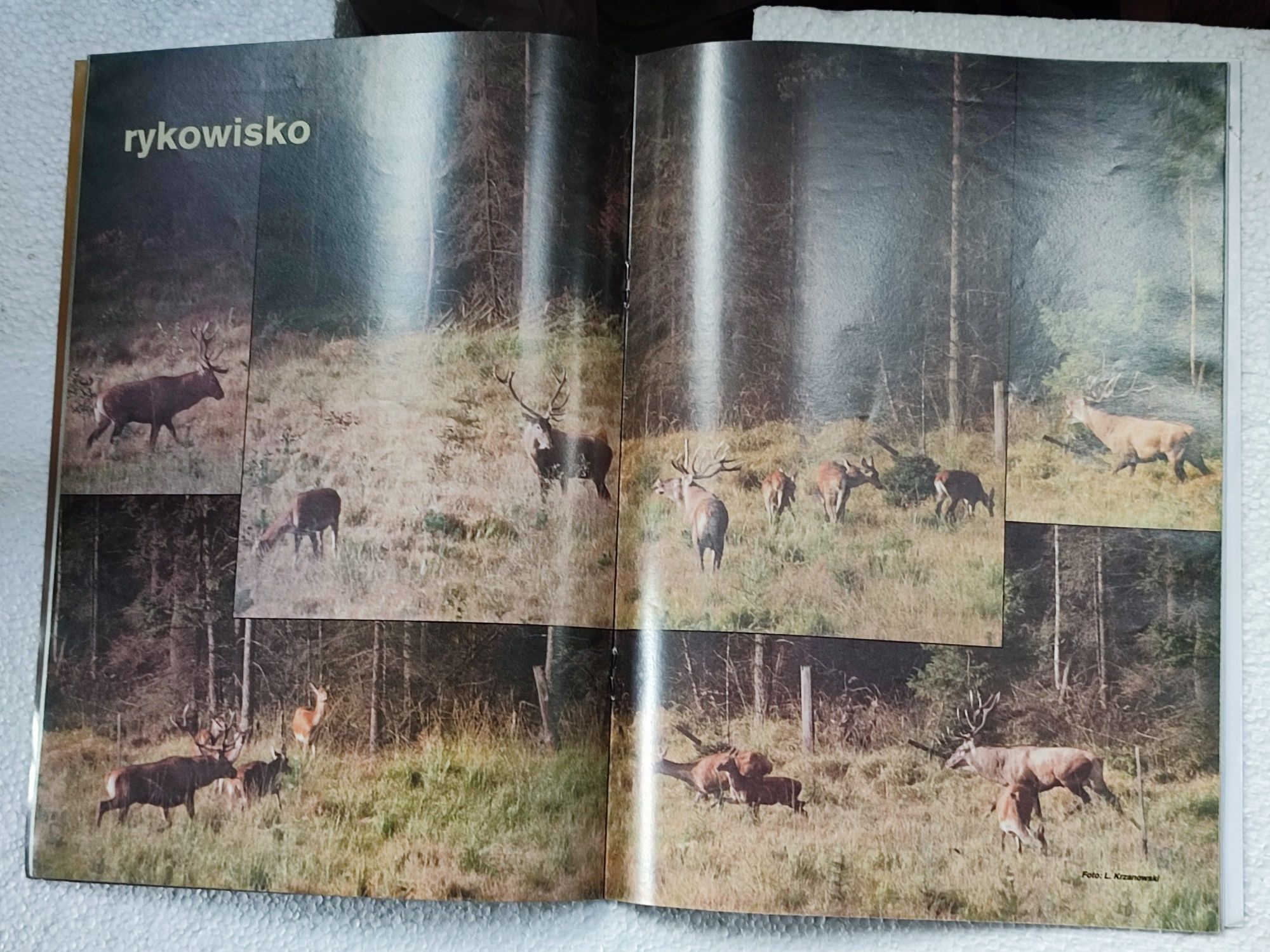 Łowiec Polski - 6/93 i 9/93 archiwalne, st. bdb