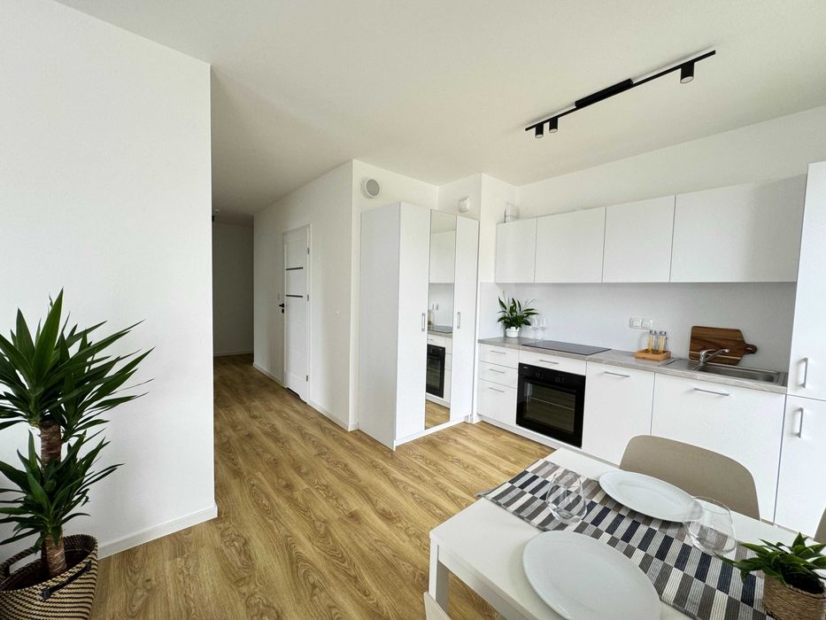 3 pokoje w centrum Katowic! 1 MC GRATIS!