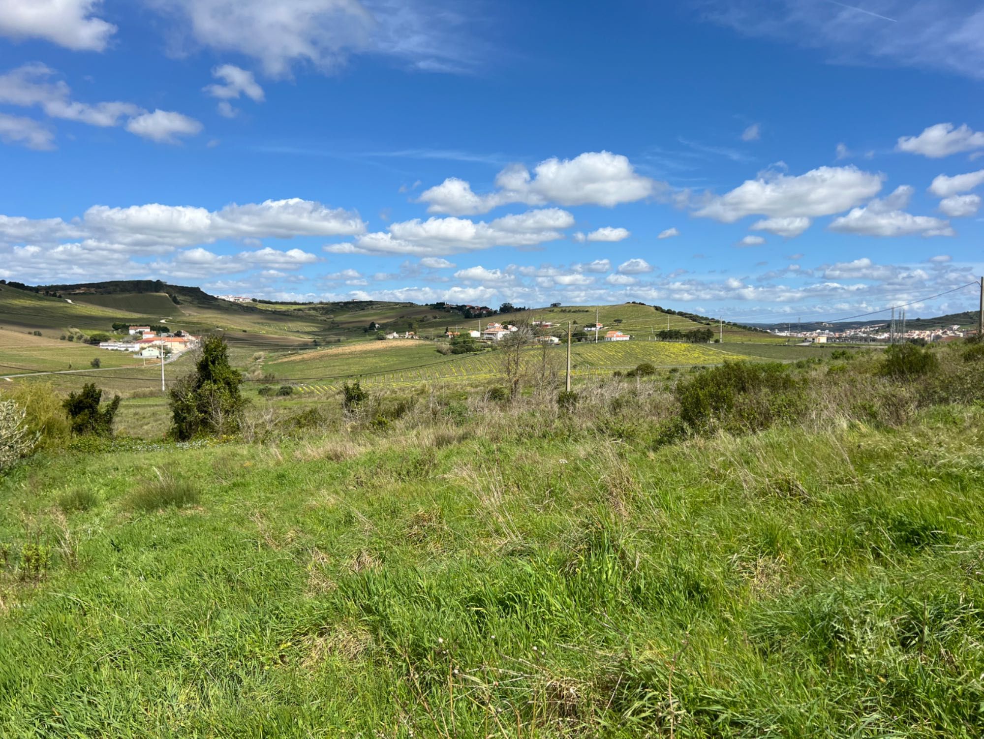 Terreno à venda Torres Vedras, Lisboa