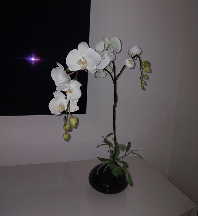 Vaso com orquídea
