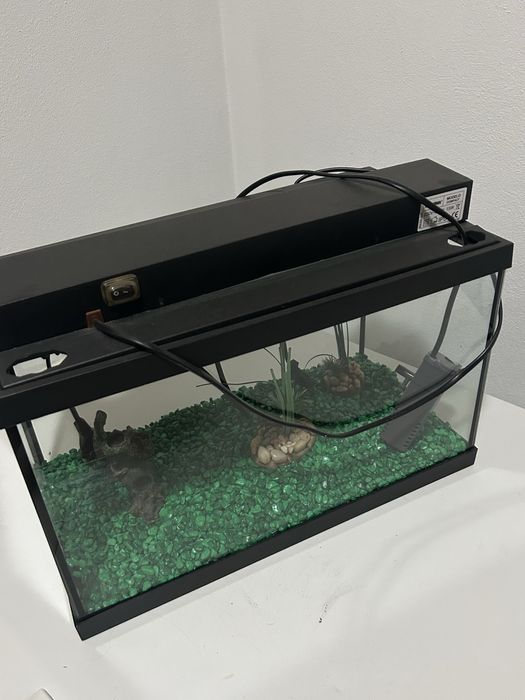 Aquario c/Decoração e Filtro