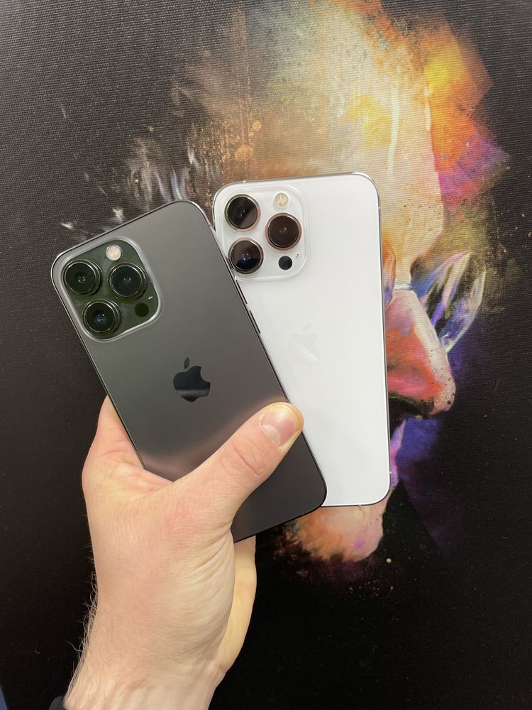 iPhone 13Pro 256Gb Silver Graphite Never lock