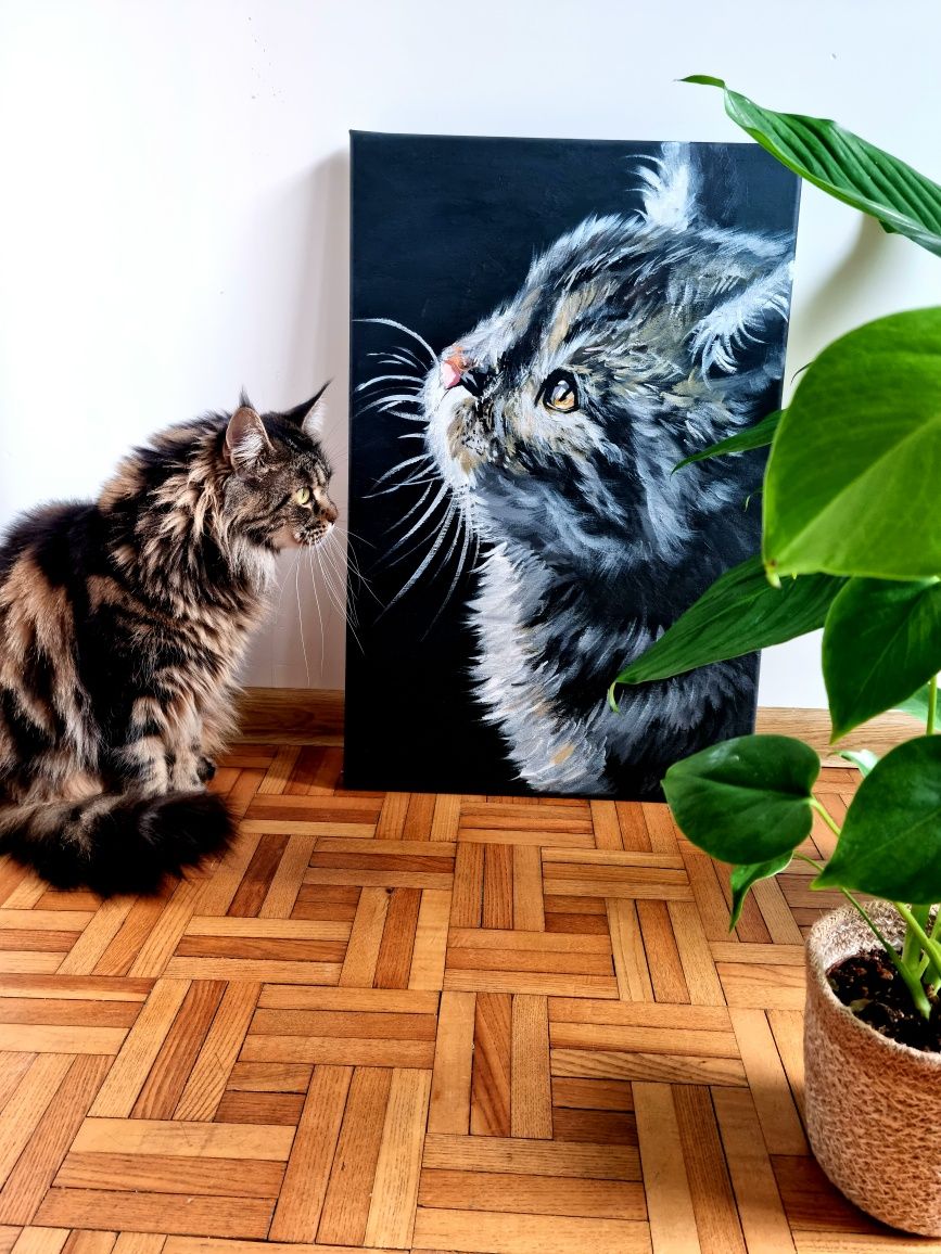 Obraz malowany na płótnie 40x60cm, kot
