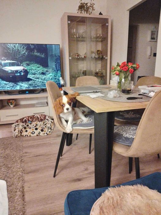 Mieszkanie na  sprzedaż