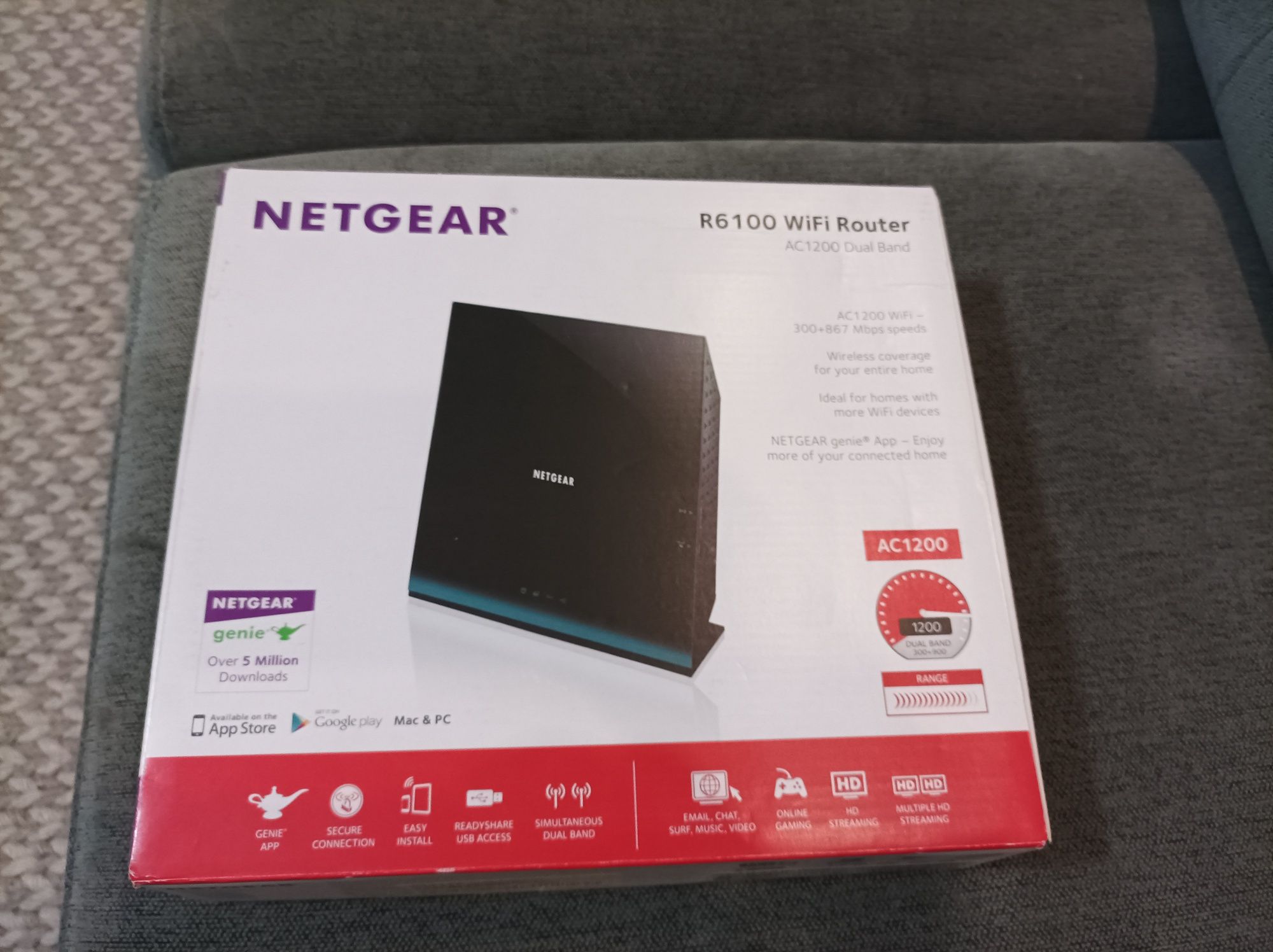 Router Netgear R6100