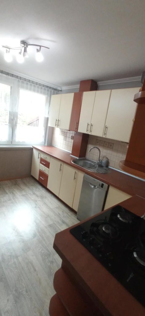 Mieszkanie 2-pokojowe 46,2 m2 na parterze w centrum miasta.