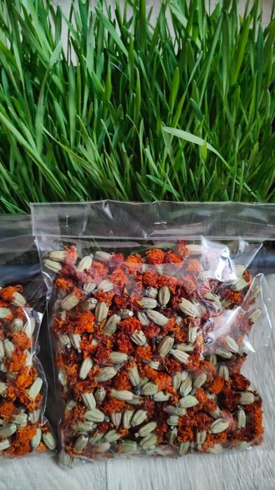 Чернобрывцы цветы