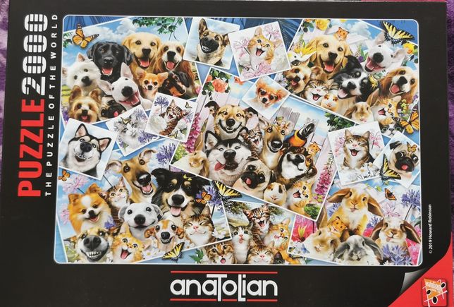 Puzzle 1000 zwariowane psy