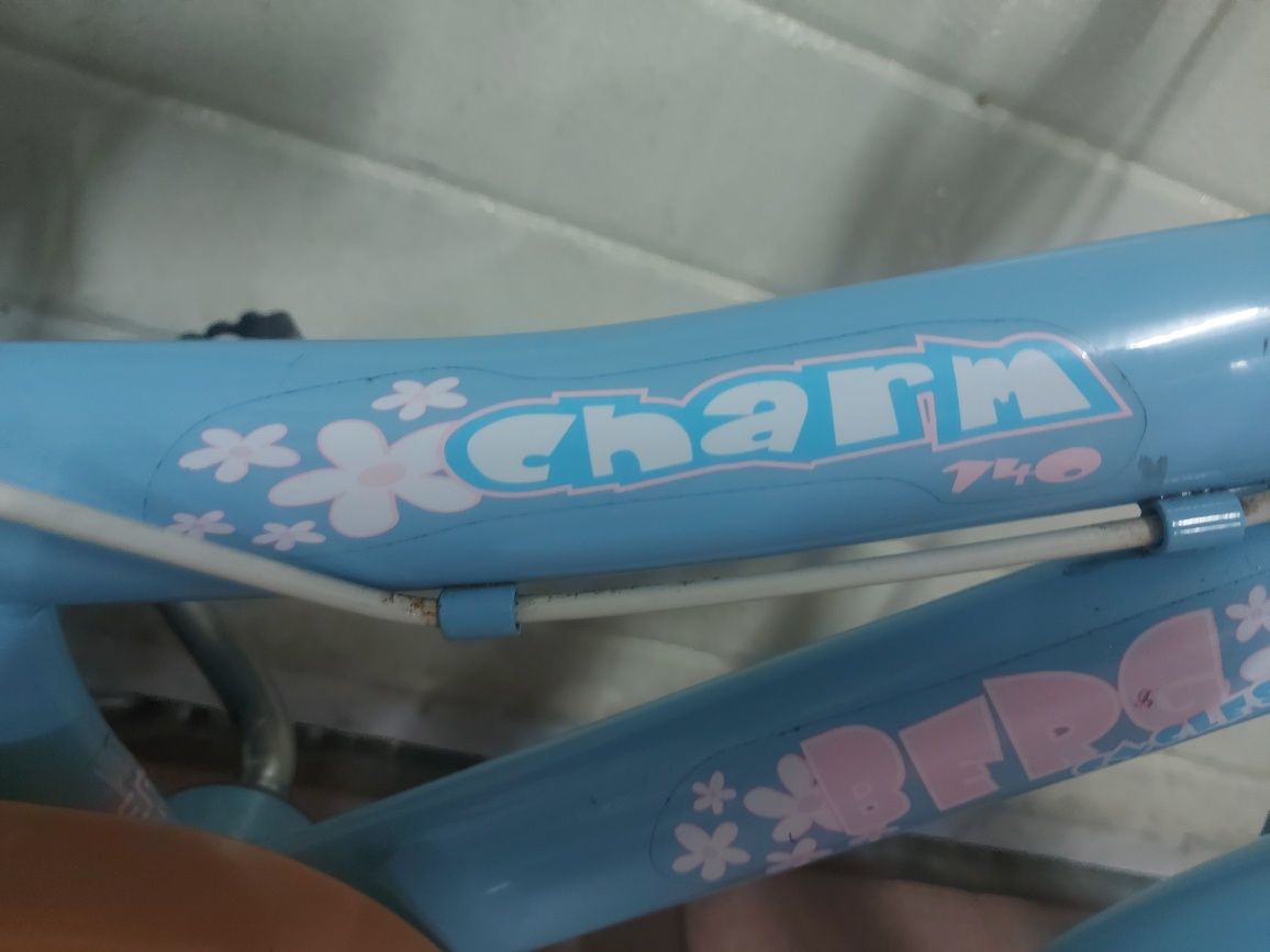 Bicicleta Berg de criança