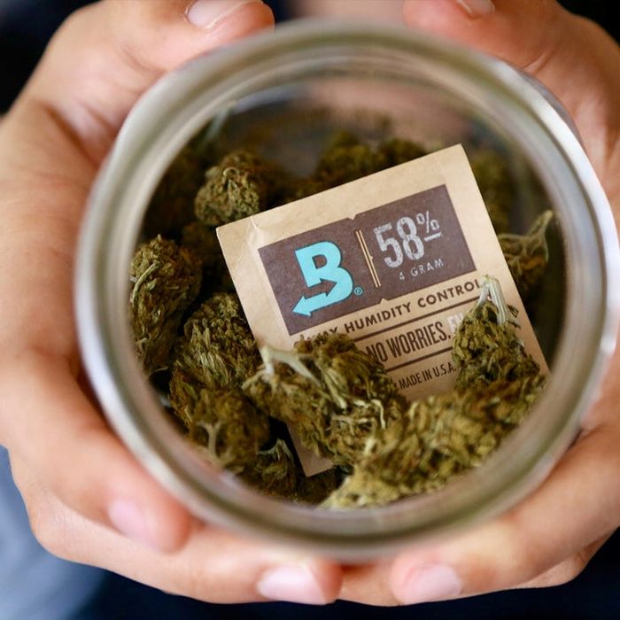 Boveda 62% 4G Saszetka Regulator Wilgotności Susz