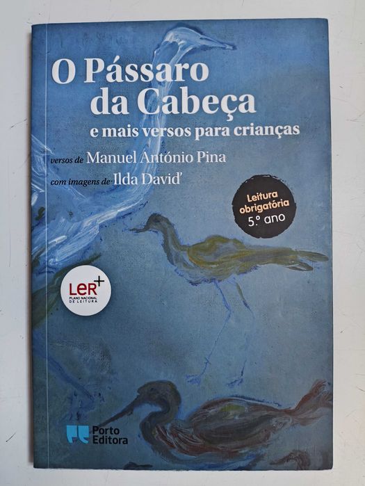 Livro O Pássaro da Cabeça