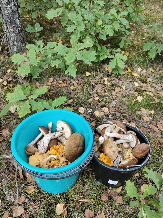 Dom nad Jeziorem z Jacuzzi, kominkiem,przy Plaży, Pluski,Warmia Mazury