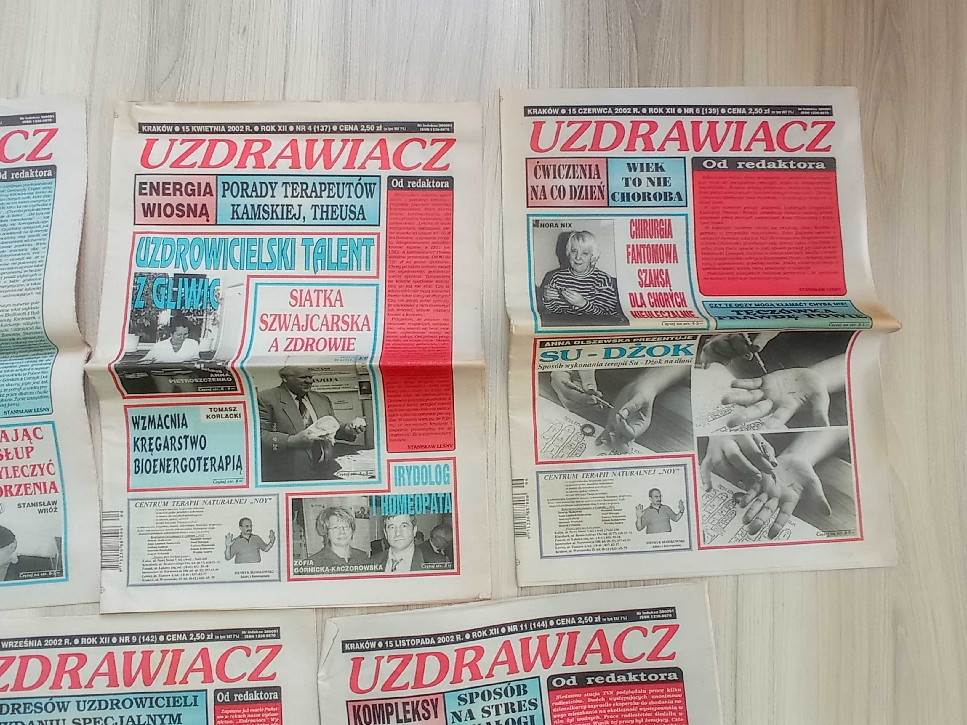 Uzdrawiacz, 2002 zestaw