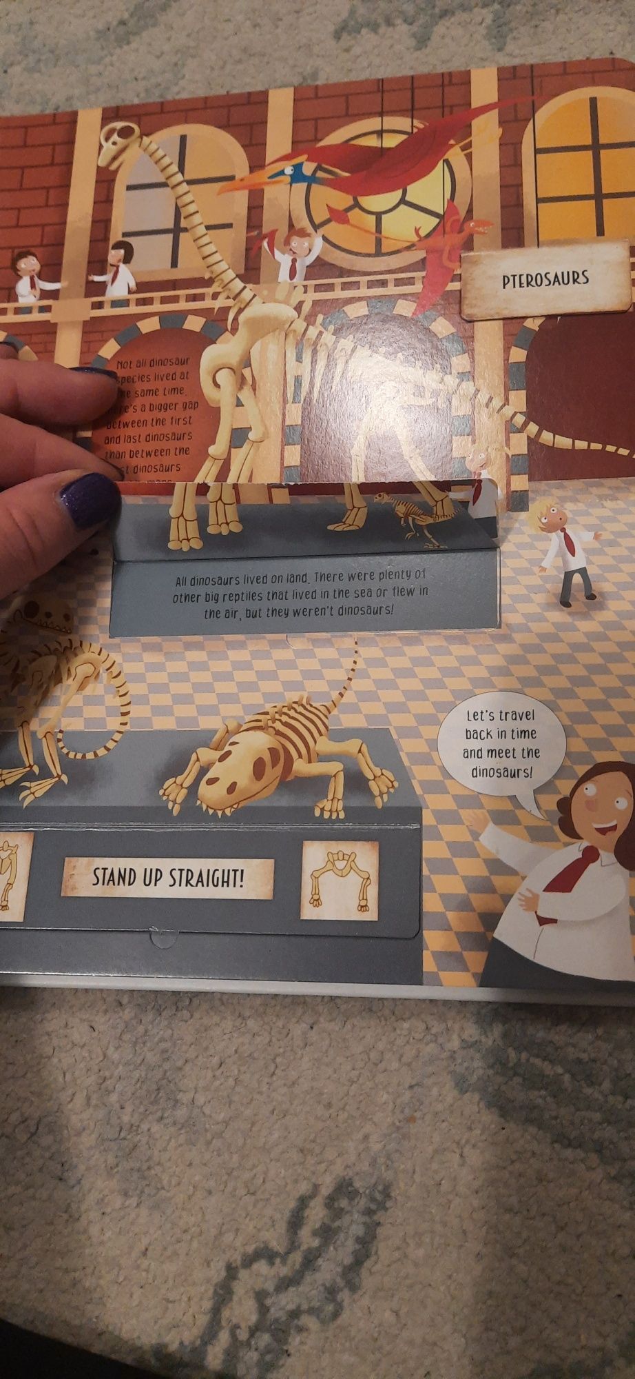 Książka z okienkami Dangerous Dinosaurs