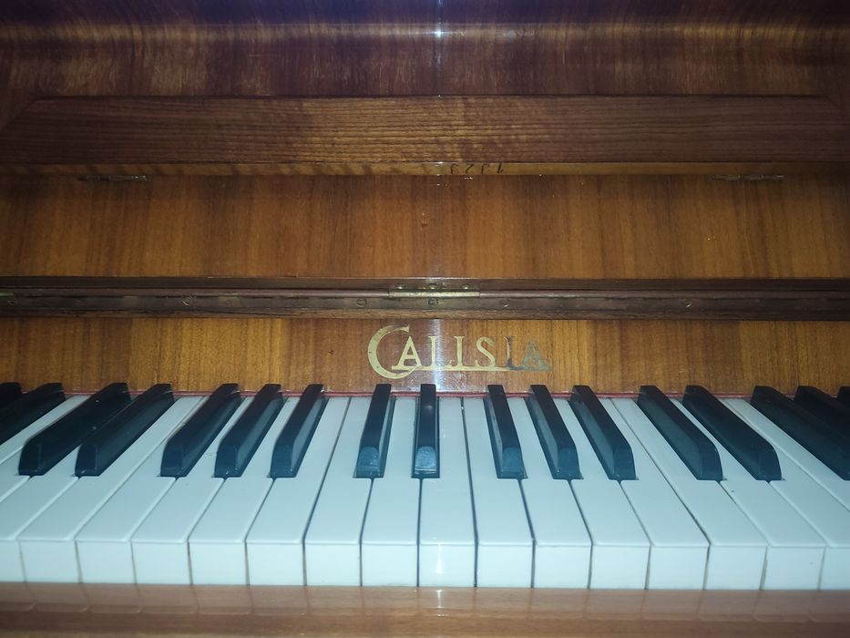 Pianino Calisia pianino