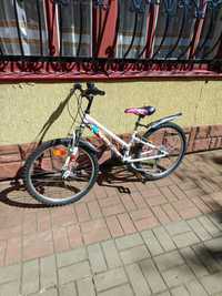 Гірський велосипед AVIGO 24