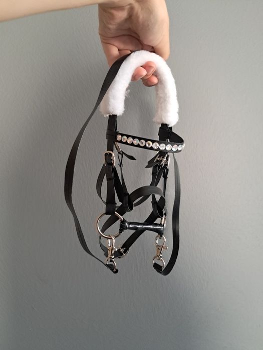 Gniady Hobbyhorse A4