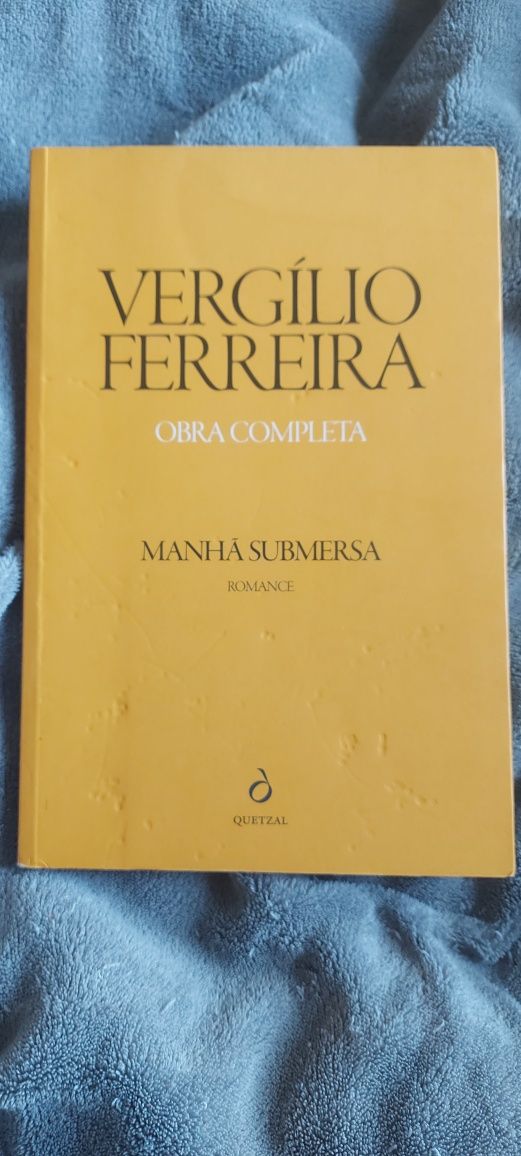 Livro Manhã Submersa