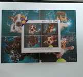 Puzzle 1000 peças Underwater dogs
