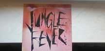 Kinkina – Jungle Fever winyl