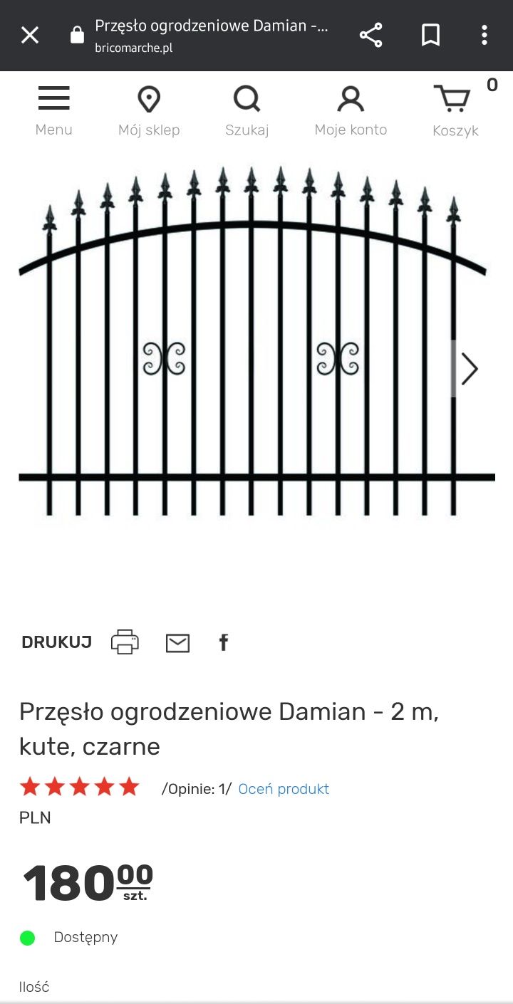 Przęsła ogrodzeniowe Polbram Damian 2