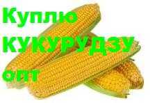 Кукурудзу солодку в качанах з поля заберу