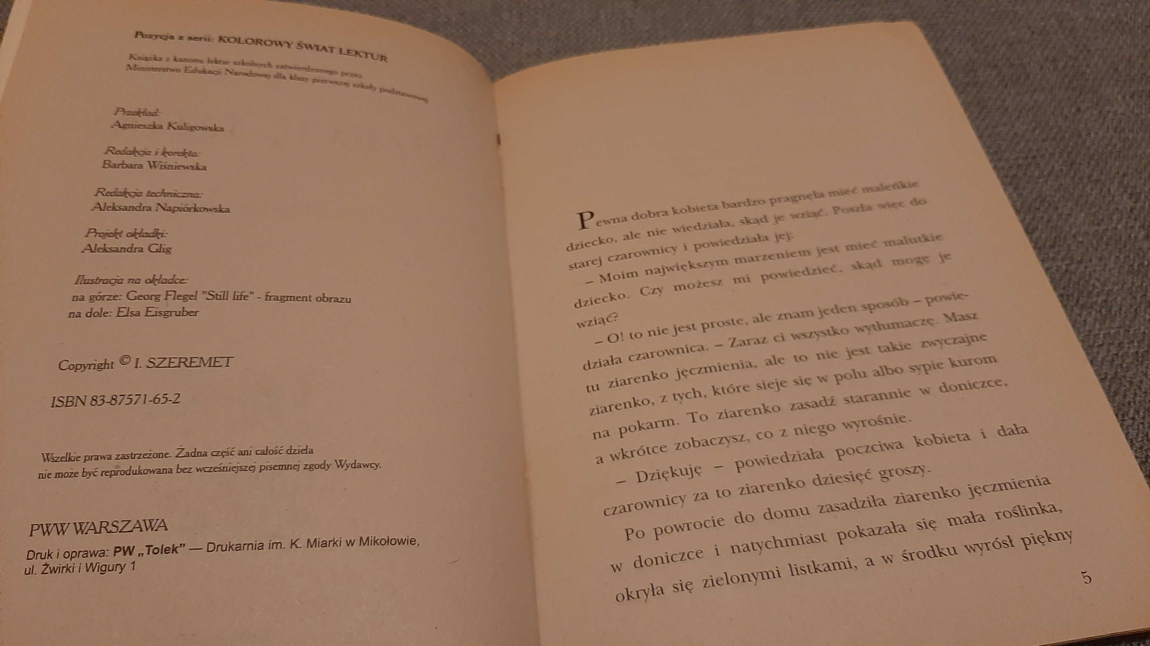 H. Ch. Andersen Dziecię elfów lektura Calineczka Kolorowy Świat Lektur