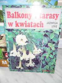 Balkony i tarasy w kwiatach , Jadwiga Litke.
