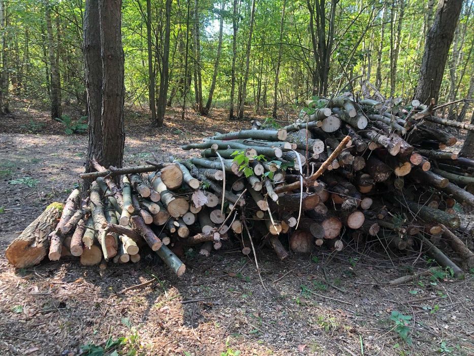 Drewno opałowe TANIO kominek pellet